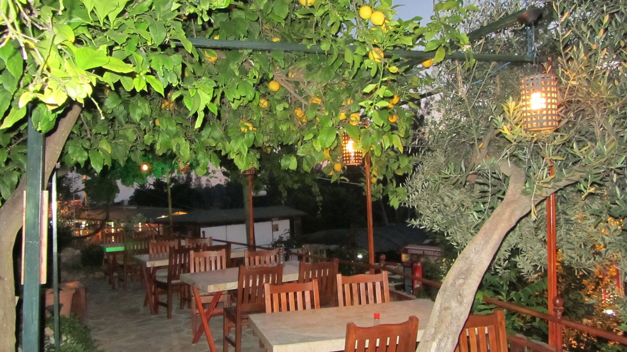 St. Nicholas Pension Patara Eksteriør billede